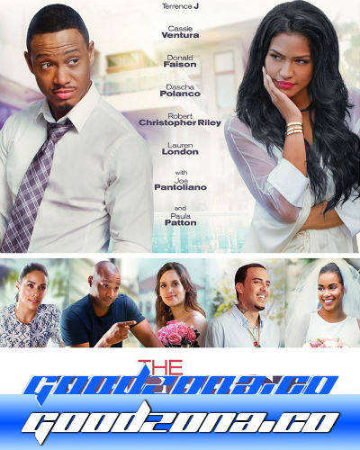 Идеальный выбор (2016)