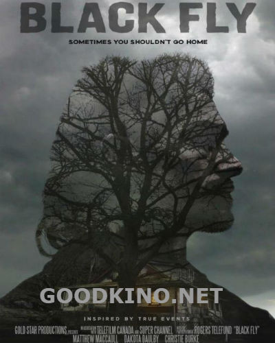 Мошкара / Черные птицы (2014)