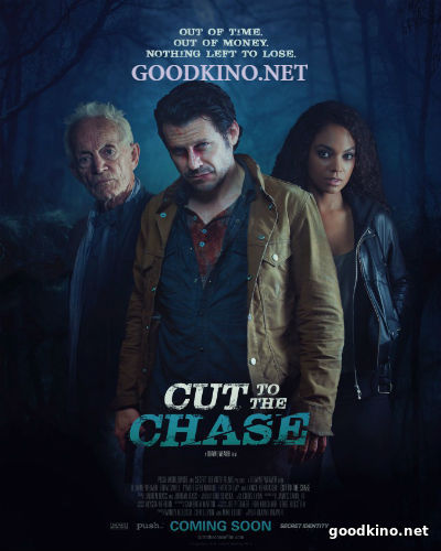 В поисках истины (2016)