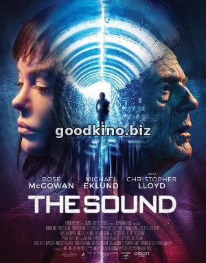 Звук (2017)