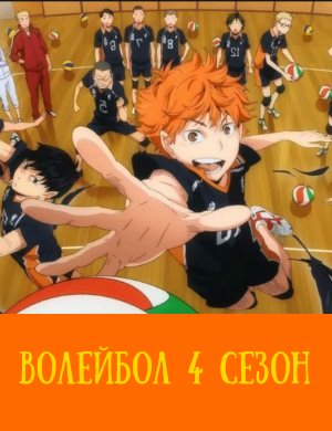 Волейбол 4 сезон