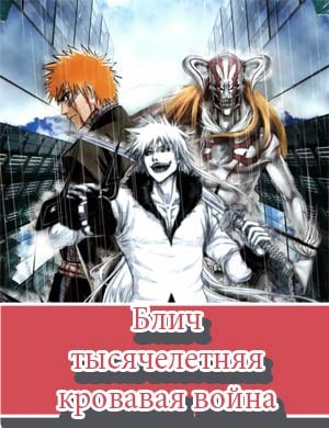 Блич 2 сезон тысячелетняя кровавая война