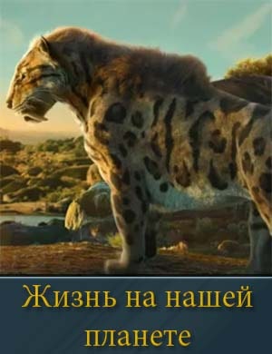 Жизнь на нашей планете