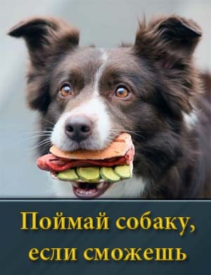 Поймай собаку, если сможешь