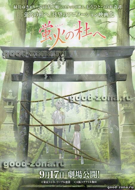 В лесу мерцания светлячков