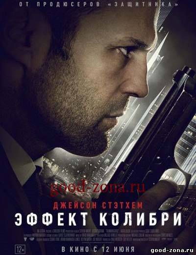 Эффект колибри (2013)