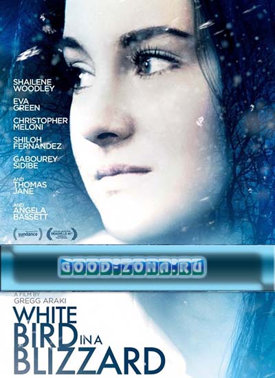 Белая птица в метели